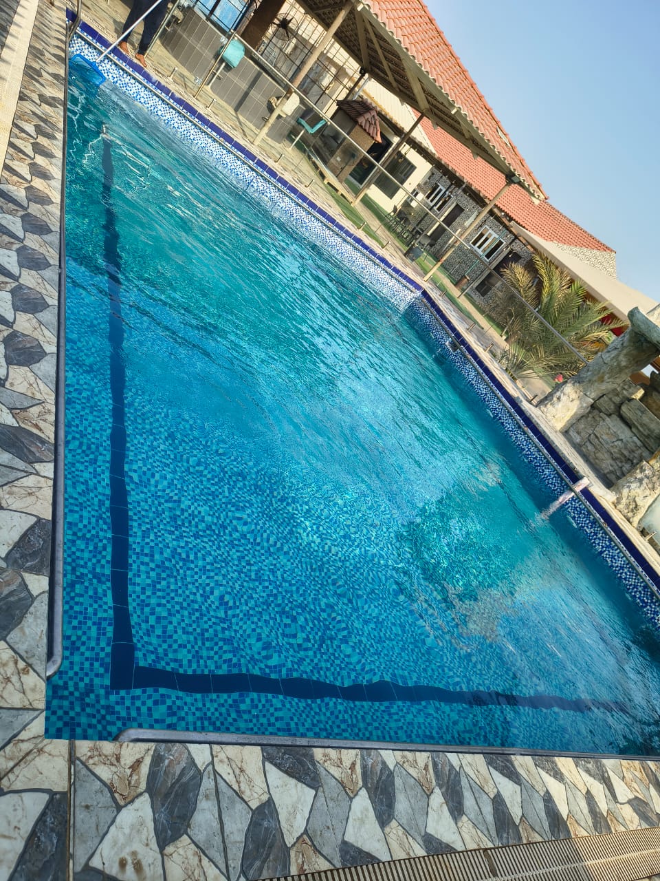 Water Testing & Chemical Balancing