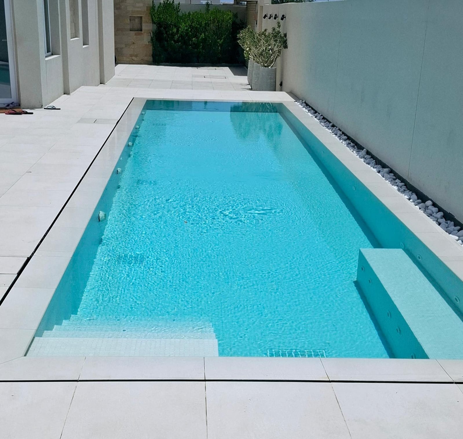 Anti-Algae & Anti-Fungal Treatment