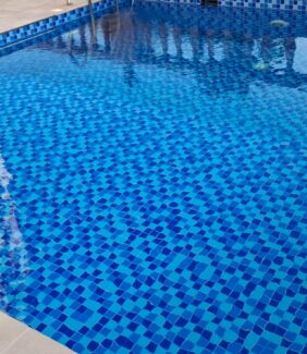 Anti-Algae & Anti-Fungal Treatment