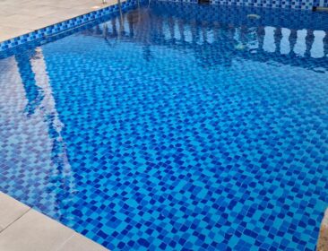 Anti-Algae & Anti-Fungal Treatment