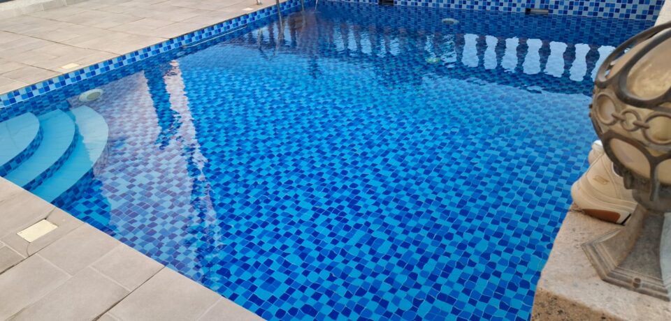 Anti-Algae & Anti-Fungal Treatment