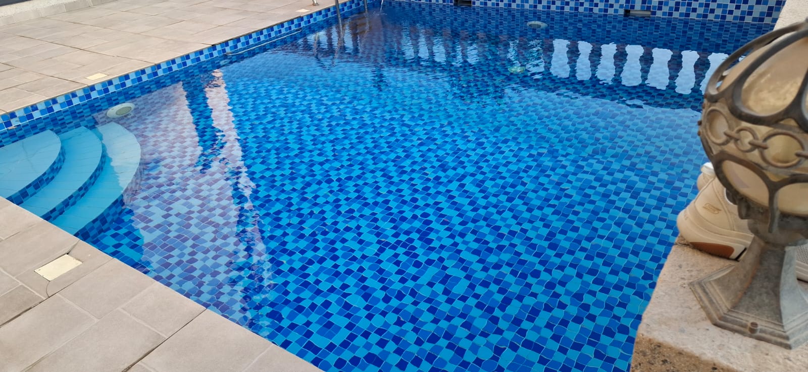 Anti-Algae & Anti-Fungal Treatment