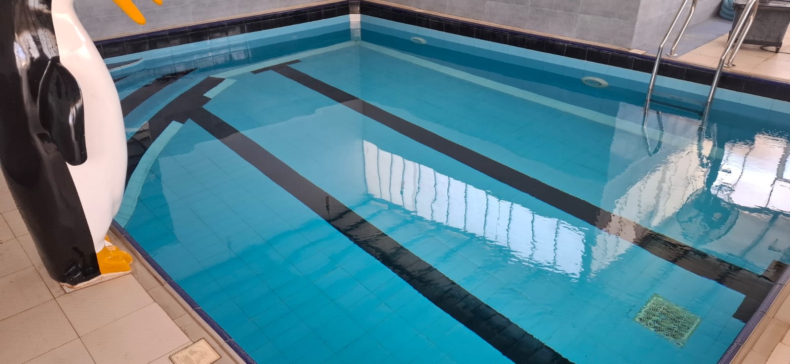 Deep Pool Cleaning & Restoration